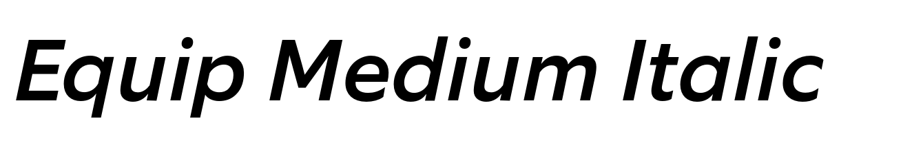 Equip Medium Italic